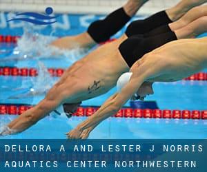 Dellora A. and Lester J. Norris Aquatics Center - Northwestern University