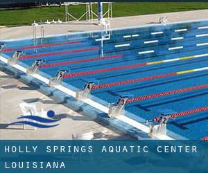 Holly Springs Aquatic Center (Louisiana)