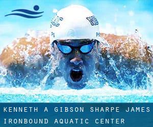 Kenneth A. Gibson / Sharpe James / Ironbound Aquatic Center