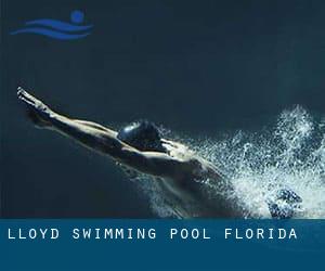 Lloyd Swimming Pool (Florida)