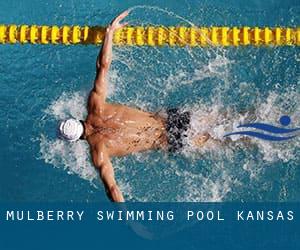 Mulberry Swimming Pool (Kansas)