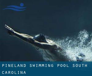 Pineland Swimming Pool (South Carolina)