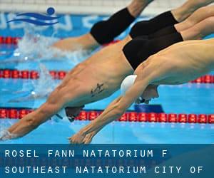 Rosel Fann Natatorium (f. Southeast Natatorium / City of Atlanta Pool)