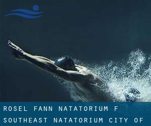 Rosel Fann Natatorium (f. Southeast Natatorium / City of Atlanta Pool)