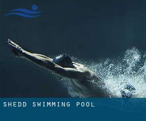 Shedd Swimming Pool