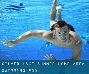 Silver Lake Summer Home Area Swimming Pool