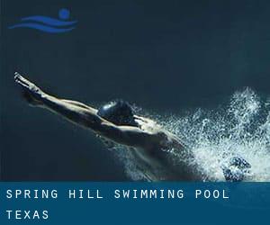 Spring Hill Swimming Pool (Texas)