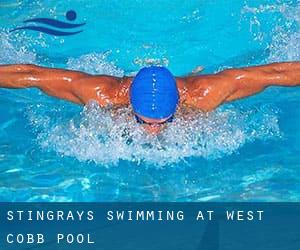 Stingrays Swimming at West Cobb Pool