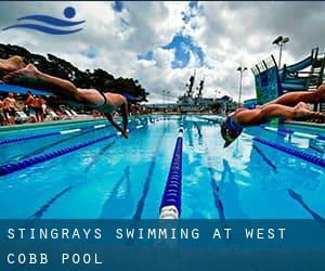 Stingrays Swimming at West Cobb Pool