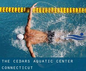 The Cedars Aquatic Center (Connecticut)