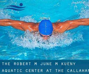 The Robert M. & June M. Kueny Aquatic Center at the Callahan Family Branch of the Kenosha YMCA