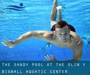 The Sandy Pool at the Olin Y. Bignall Aquatic Center