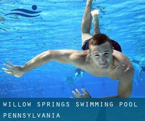 Willow Springs Swimming Pool (Pennsylvania)